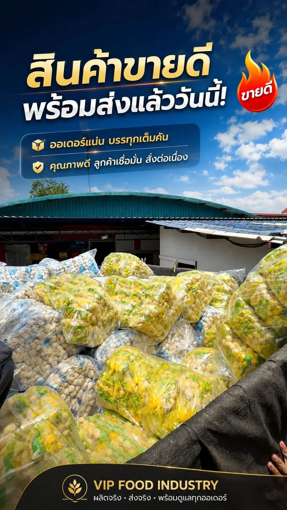 ออเดอร์วันนี้จัดเต็มกว่า 11,500 กิโลกรัม